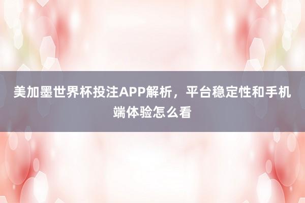 美加墨世界杯投注APP解析，平台稳定性和手机端体验怎么看